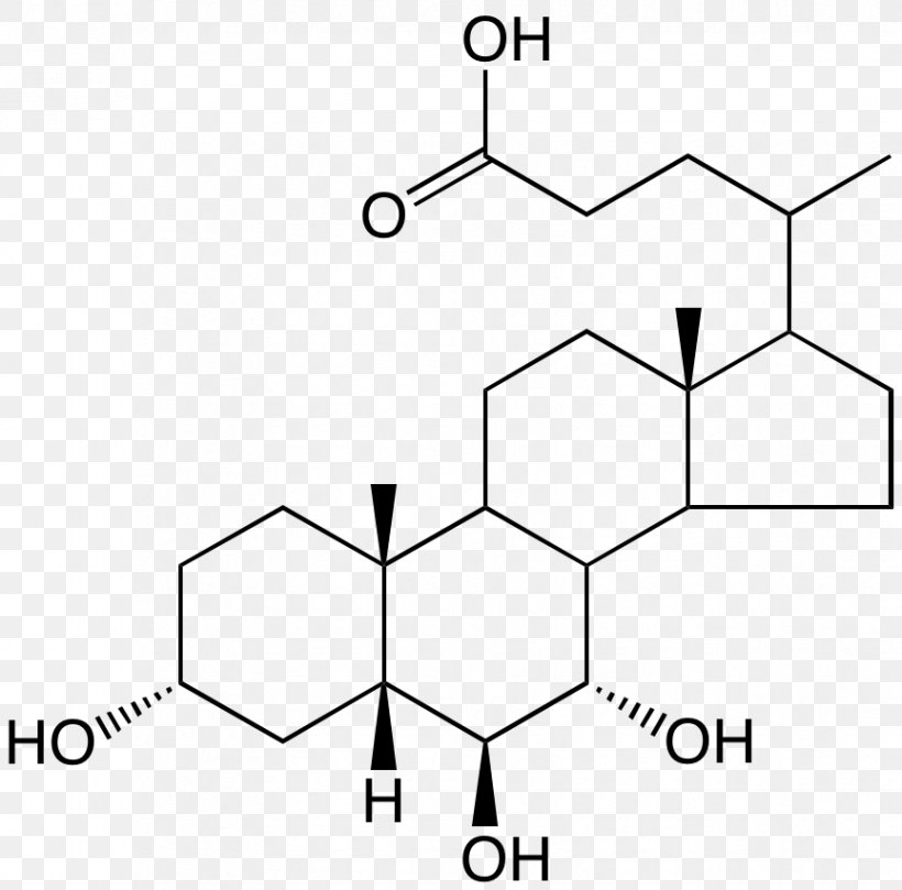 Chenodeoxycholic Acid Muricholic Acid Ursodiol, PNG, 864x853px, Watercolor, Cartoon, Flower, Frame, Heart Download Free