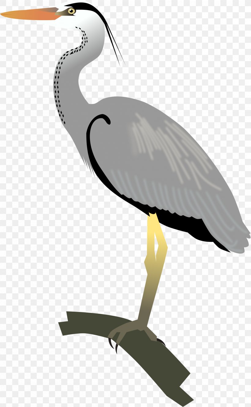 Egret Great Blue Heron Crane Bird, PNG, 2000x3250px, Egret, Beak, Bird, Ciconiiformes, Crane Download Free