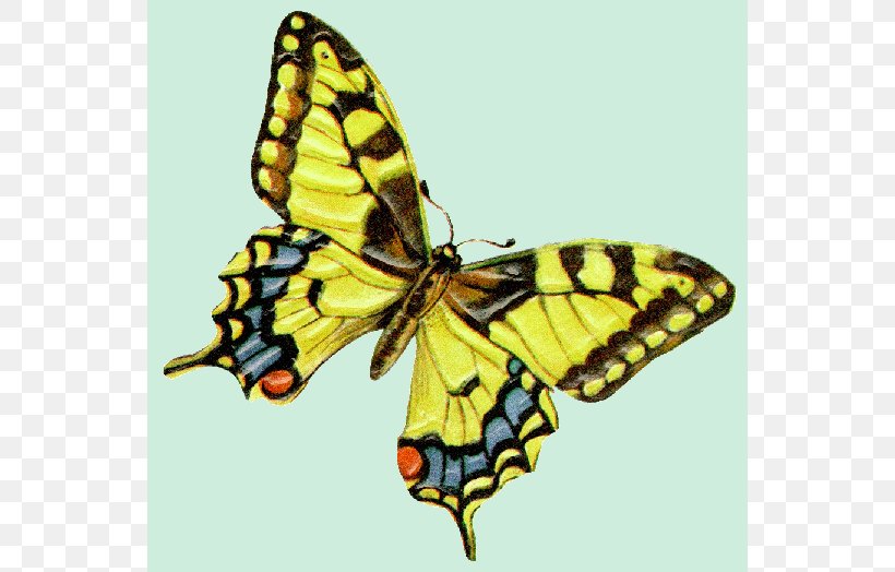 Monarch Butterfly Swallowtail Butterfly Butterfly Gardening Clip Art, PNG, 550x524px, Butterfly, Arthropod, Brush Footed Butterfly, Butterflies And Moths, Butterfly Gardening Download Free