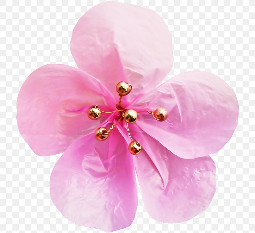 Pink Flower Cartoon, PNG, 718x748px, Flower, Hair Accessory, Jewellery, Maroon, Moth Orchid Download Free