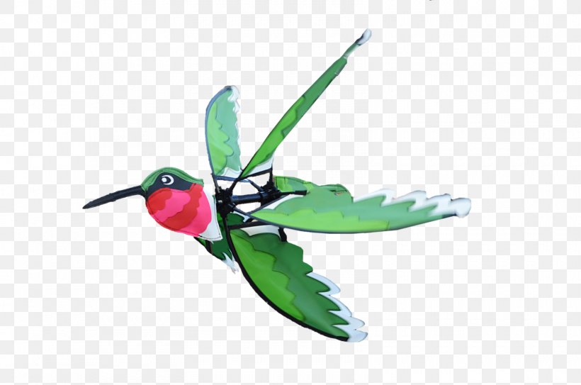 Hummingbird M Insect Wing Beak, PNG, 1600x1060px, Hummingbird, Beak, Bird, Hummingbird M, Insect Download Free