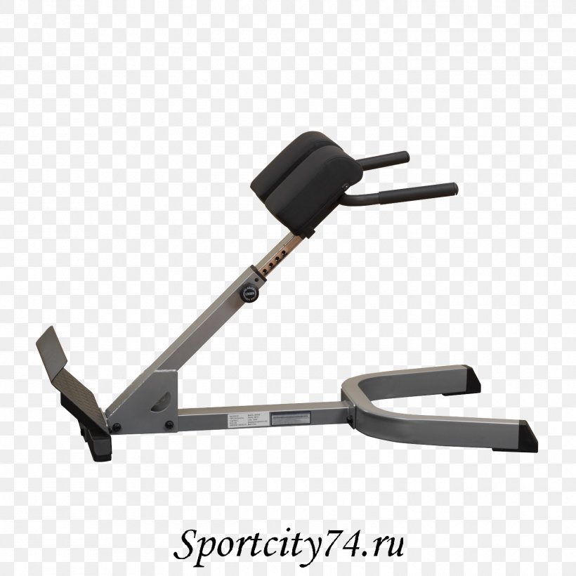 Hyperextension Roman Chair Bench Exercise Equipment Dumbbell, PNG, 1500x1500px, Hyperextension, Barbell, Bench, Bench Press, Biceps Download Free