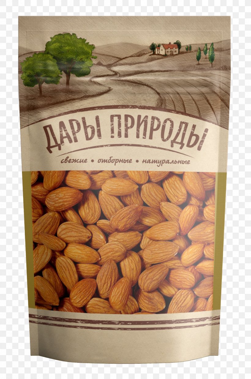 Saint Petersburg Nut Sunflower Seed Dried Fruit Moscow, PNG, 982x1483px, Saint Petersburg, Almond, Cashew, Dried Fruit, English Walnut Download Free