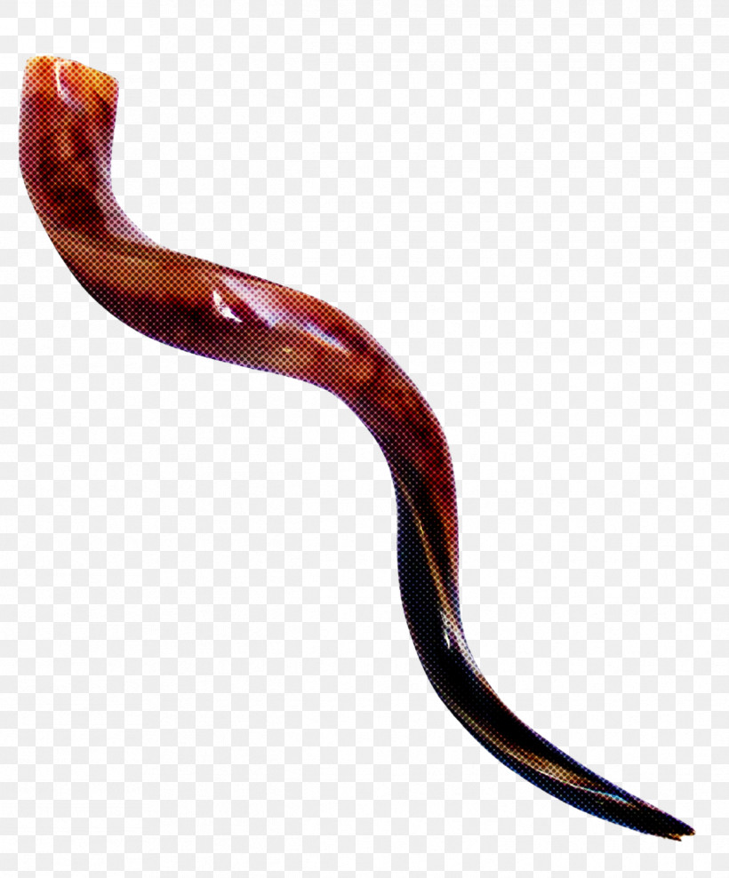 Shofar, PNG, 1243x1499px, Horn, Shofar, Tail Download Free