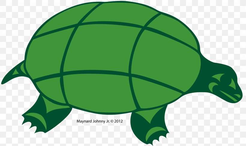 Tortoise Sea Turtle Gray Wolf Green, PNG, 2923x1743px, Tortoise, Black, Black And White, Classroom, Color Download Free