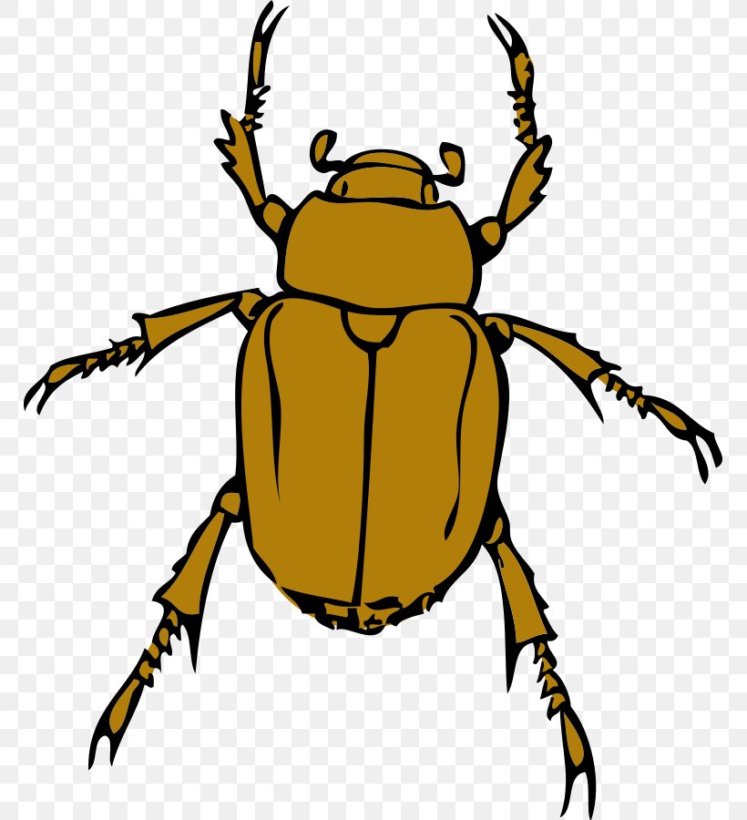 Download Clip Art, PNG, 768x900px, Scalable Vector Graphics, Arthropod, Artwork, Beetle, Fly Download Free