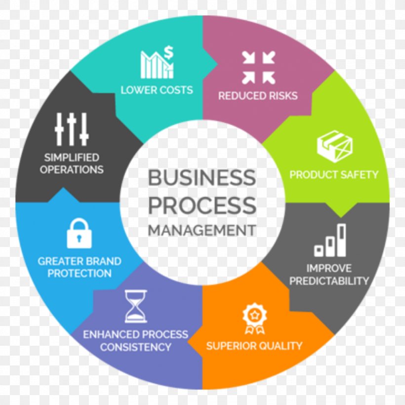 Organization Business Process Management, PNG, 1024x1024px, Organization, Area, Brand, Business, Business Process Download Free