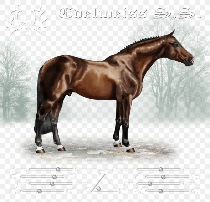 Stallion Mustang Halter Mare Rein, PNG, 900x868px, Stallion, Bit, Bridle, Colt, Dog Harness Download Free