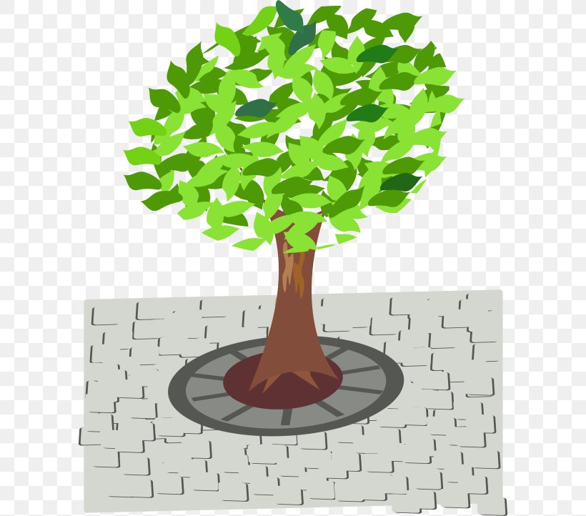 Street Clip Art, PNG, 602x722px, Tree, Cartoon, Flowerpot, Grass, Green Download Free