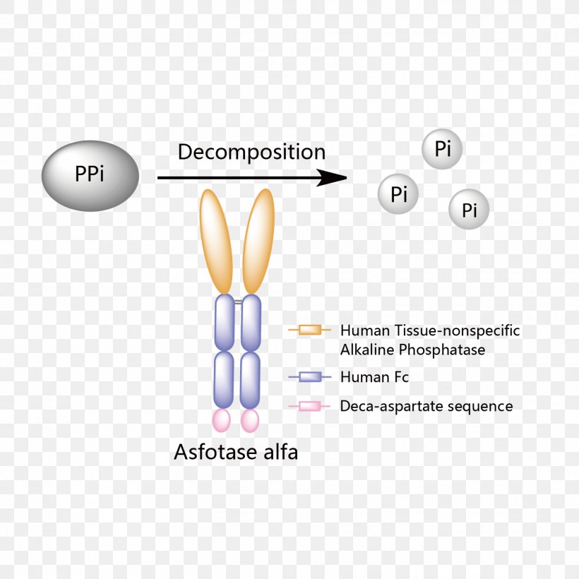 Asfotase Alfa Enzyme Replacement Therapy Strensiq Hypophosphatasia Mechanism Of Action, PNG, 1418x1418px, Watercolor, Cartoon, Flower, Frame, Heart Download Free