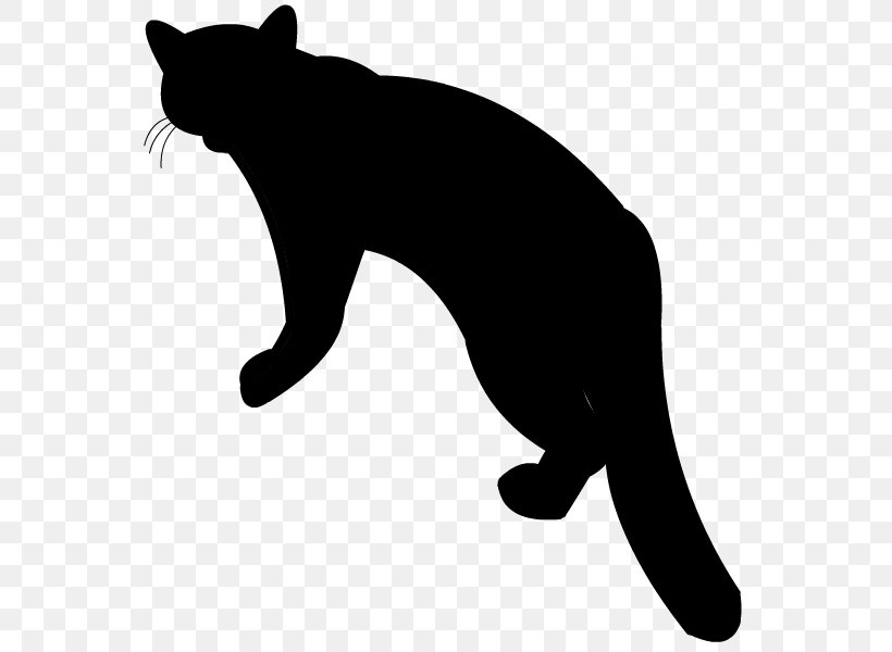 Cat Small To Medium-sized Cats Black Tail Black Cat, PNG, 800x600px, Cat, Black, Black Cat, Small To Mediumsized Cats, Tail Download Free
