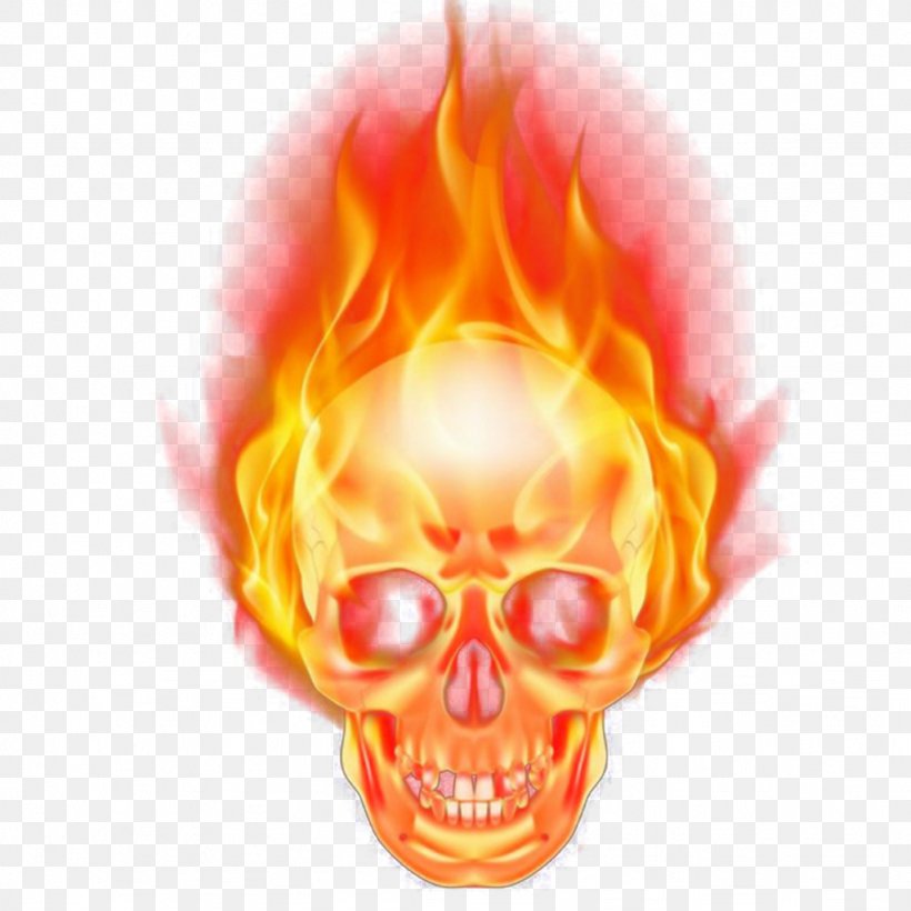 Flame Vector Graphics Skull Image, PNG, 1024x1024px, Flame, Bone, Combustion, Fire, Jaw Download Free