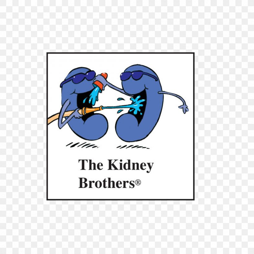 Kidney Drinking Water Drinking Water Body Water, PNG, 1000x1000px, Watercolor, Cartoon, Flower, Frame, Heart Download Free