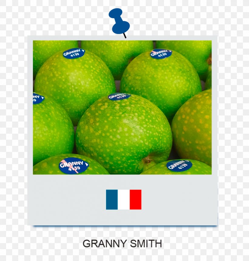 Persian Lime Iranian Cuisine Desktop Wallpaper Granny Smith, PNG, 944x990px, Lime, Citrus, Computer, Food, Fruit Download Free
