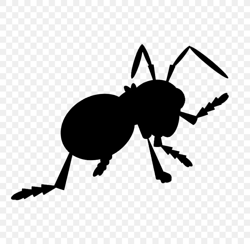 Ant Beetle Clip Art Character Silhouette, PNG, 800x800px, Ant, Arthropod, Beetle, Cartoon, Character Download Free