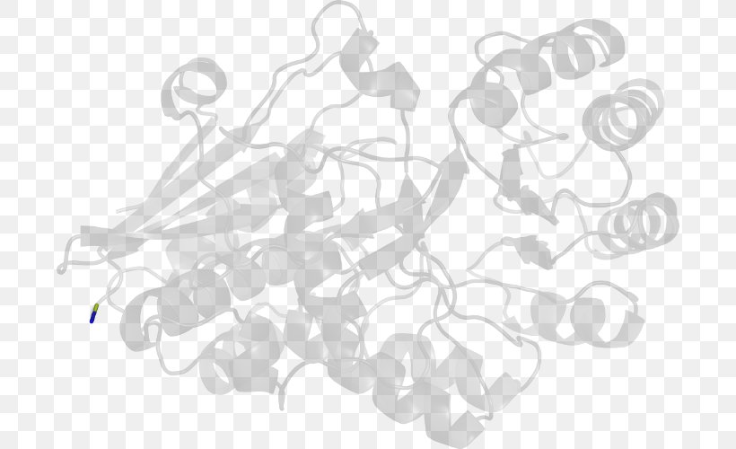 Line Art Drawing, PNG, 694x500px, Line Art, Artwork, Black And White, Branch, Drawing Download Free