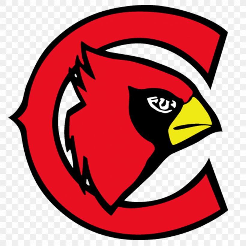 South Sioux City High School South Sioux City Community School, PNG, 1200x1200px, Sioux City, Area, Art, Artwork, Beak Download Free