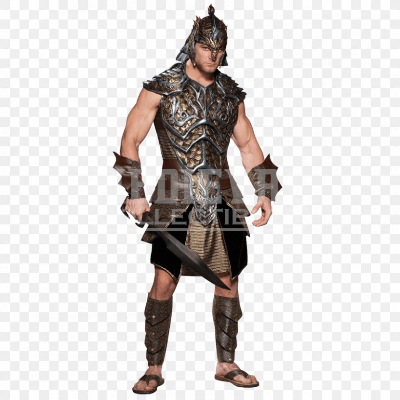 Halloween Costume Couple Costume Clothing, PNG, 850x850px, Halloween Costume, Armour, Clothing, Clothing Accessories, Cosplay Download Free