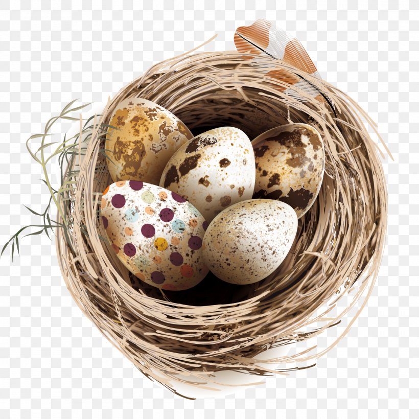 Quail Eggs Bird Nest, PNG, 1500x1500px, Quail, Basket, Bird, Bird Nest, Easter Egg Download Free