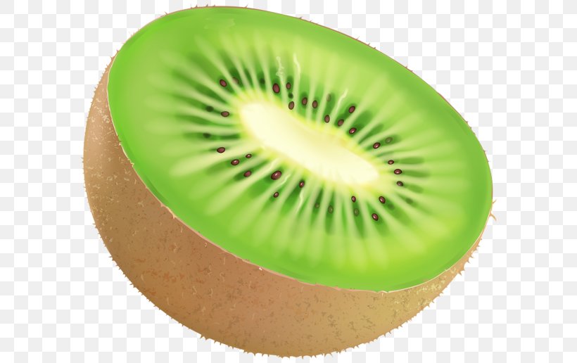 Vector Graphics Kiwifruit Illustration Image, PNG, 600x516px, Kiwifruit, Drawing, Flightless Bird, Food, Fruit Download Free