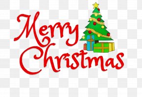 Pine Interior Design - Christmas Tree Watercolor PNG