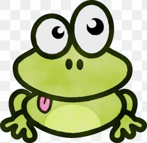 Head Yellow - Green Frog True Frog Toad Facial Expression PNG