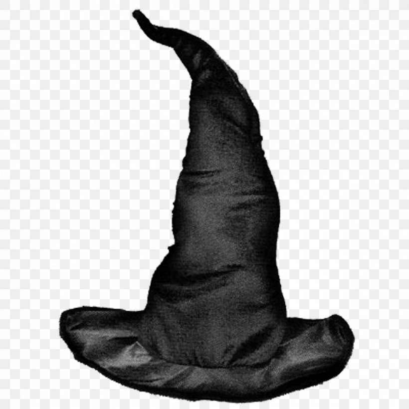 Wicked Witch Of The West Witch Hat Costume Clothing Accessories, PNG, 1200x1200px, Wicked Witch Of The West, Black And White, Cap, Clothing, Clothing Accessories Download Free