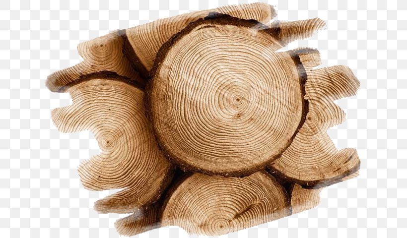 Wood Teak Tree Swarf Construction En Bois, PNG, 640x480px, Wood, Cabinetry, Construction En Bois, Creativity, Furniture Download Free