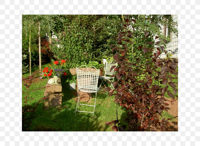 Backyard Tree Landscaping Lawn Shrub, PNG, 800x600px, Backyard, Courtyard, Garden, Gardening, Grass Download Free