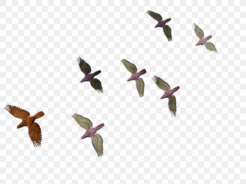 Bird Flock Animal Migration Wing Bird Migration, PNG, 1024x768px, Watercolor, Animal Figure, Animal Migration, Bird, Bird Migration Download Free