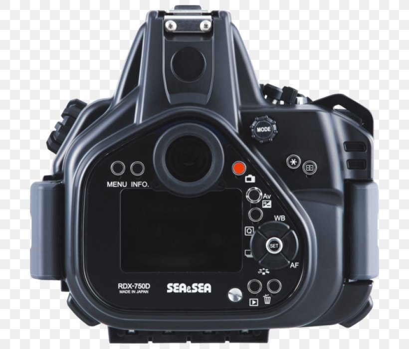 Digital SLR Canon EOS 750D Canon EOS 800D Canon EOS 300D Canon EOS 650D, PNG, 700x700px, Digital Slr, Camera, Camera Accessory, Camera Lens, Cameras Optics Download Free