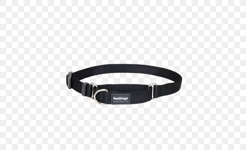 Dog Collar Martingale Leash, PNG, 500x500px, Dog, Belt, Belt Buckle, Collar, Dog Collar Download Free