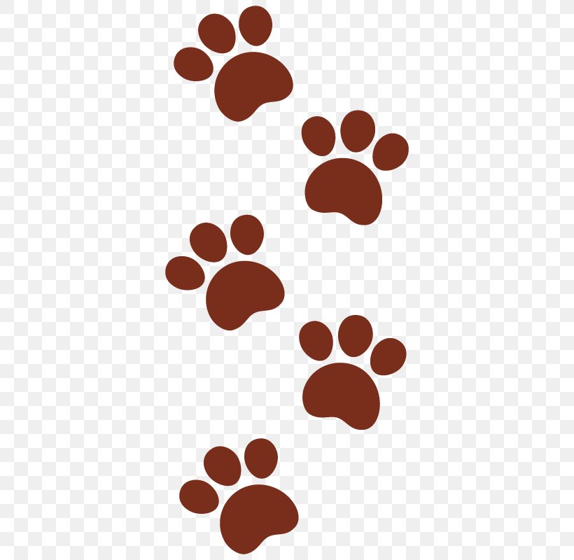 Paw Bloodhound Puppy Cat Pet, PNG, 800x800px, Paw, Animal, Animal Track, Bloodhound, Cat Download Free