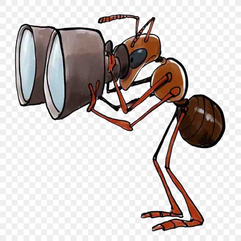 Ant Association Bourgogne-Nature Magnifying Glass Image Observation, PNG, 960x960px, Ant, Binoculars, Cartoon, Insect, Invertebrate Download Free