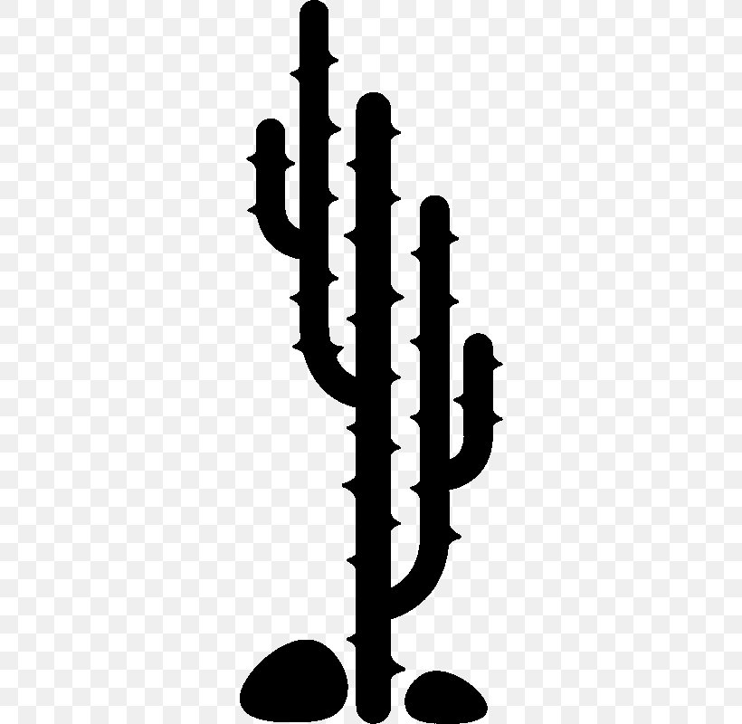 Cactaceae Sticker Wall Pine Sales, PNG, 800x800px, Cactaceae, Black And White, Branch, Candle, Coat Hat Racks Download Free