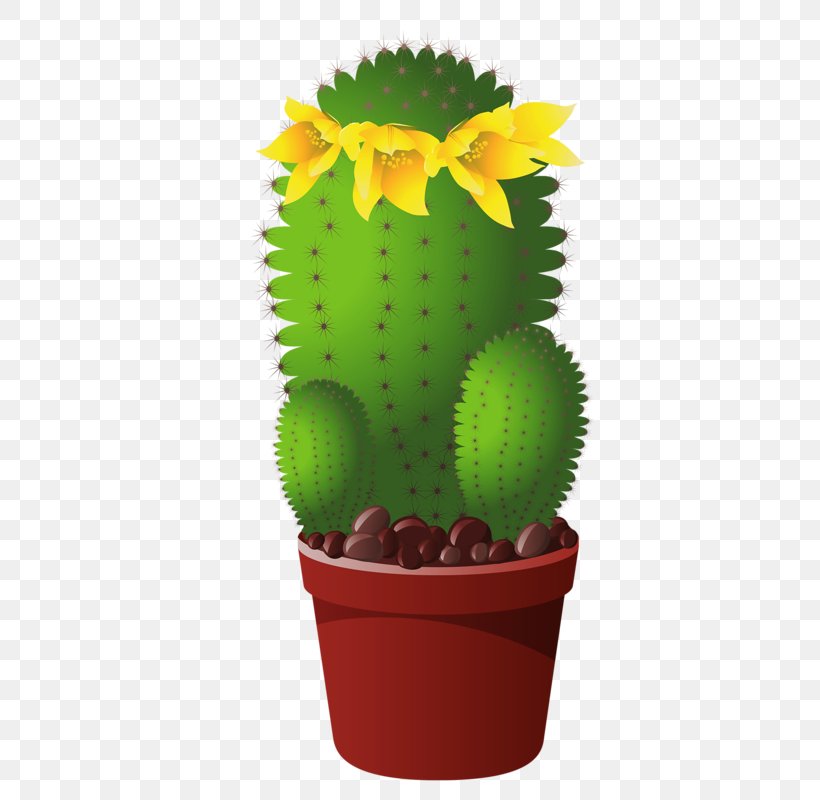 Cactus Et Succulentes Clip Art Succulent Plant, PNG, 398x800px, Cactus, Baking Cup, Cactus Et Succulentes, Carnivorous Plant, Flower Download Free