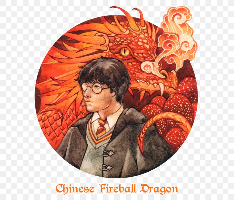 Chinese Fireball Dragon Chinese Dragon Fictional Universe Of Harry Potter China, PNG, 647x700px, Dragon, Art, China, Chinese Calendar, Chinese Dragon Download Free