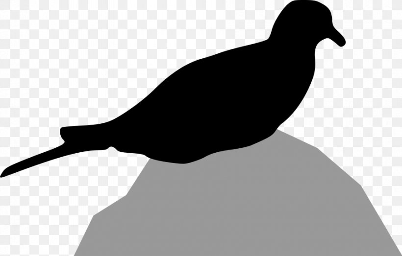Columbidae Bird Mourning Dove Silhouette Clip Art, PNG, 900x575px, Columbidae, Beak, Bird, Black And White, Doves As Symbols Download Free
