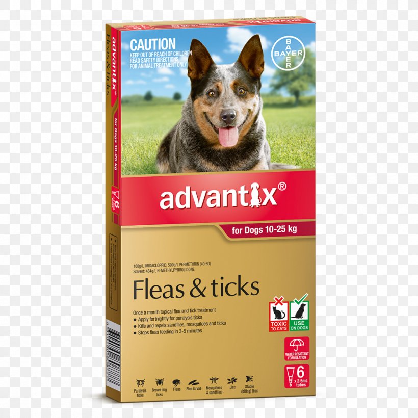 Dog Cat Tick Ixodes Holocyclus Imidacloprid/permethrin/pyriproxyfen, PNG, 1000x1000px, Dog, Advertising, American Dog Tick, Australian Cattle Dog, Brown Dog Tick Download Free