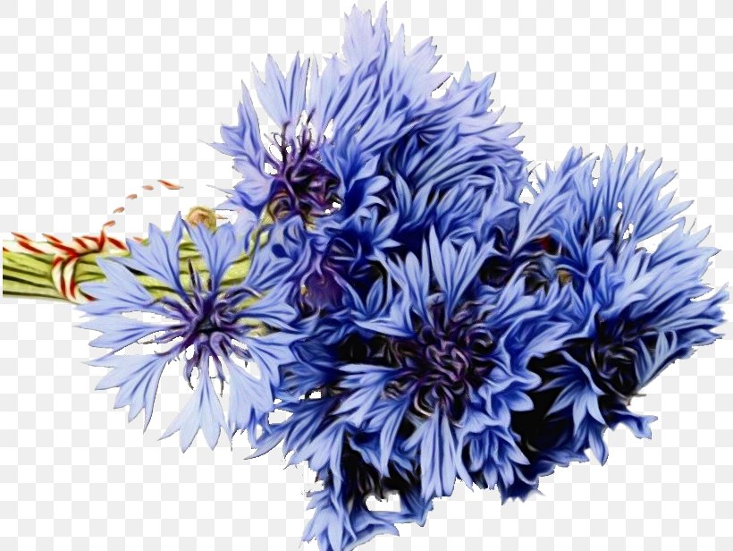 Flower Bouquet Floral Design Desktop Wallpaper Cornflower, PNG, 813x616px, Flower Bouquet, Artificial Flower, Blue, Blue Flower, Blue Rose Download Free