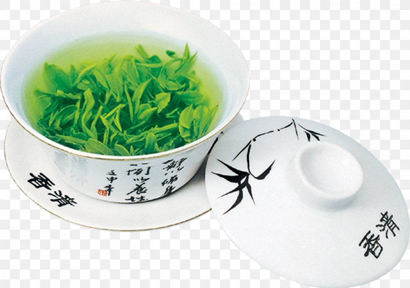 Green Tea Longjing Tea Oolong Xinyang Maojian Tea, PNG, 1072x755px, Tea, Antioxidant, Black Tea, Catechin, Chinas Famous Teas Download Free