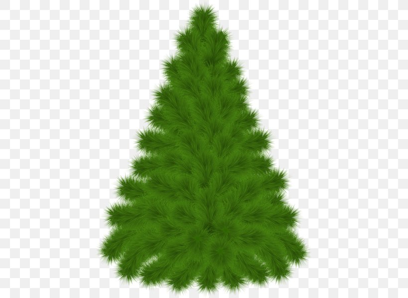 Mediterranean Cypress Pine Tree Clip Art, PNG, 447x600px, Mediterranean Cypress, Bald Cypress, Biome, Christmas Decoration, Christmas Ornament Download Free