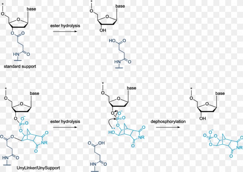 Oligonucleotide Synthesis Solid-phase Synthesis Antisense Therapy Morpholino, PNG, 853x604px, Oligonucleotide, Antisense Therapy, Area, Chemistry, Diagram Download Free