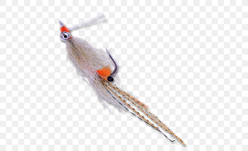 Beak Feather, PNG, 500x500px, Beak, Bird, Feather, Fish, Orange Download Free