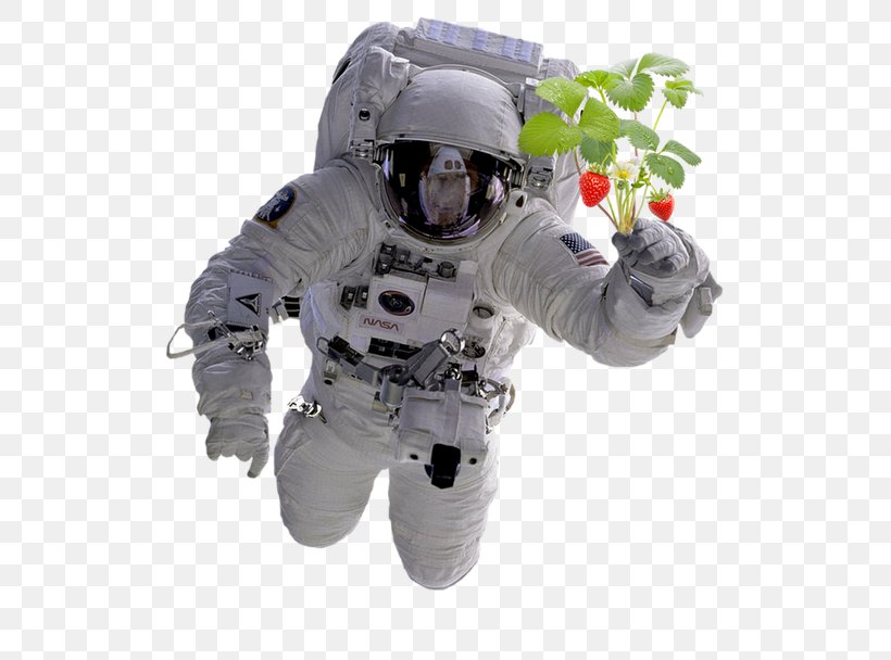 Fallen Astronaut Outer Space Space Suit NASA, PNG, 521x608px, Astronaut, David Scott, Fallen Astronaut, Life Support System, Nasa Download Free