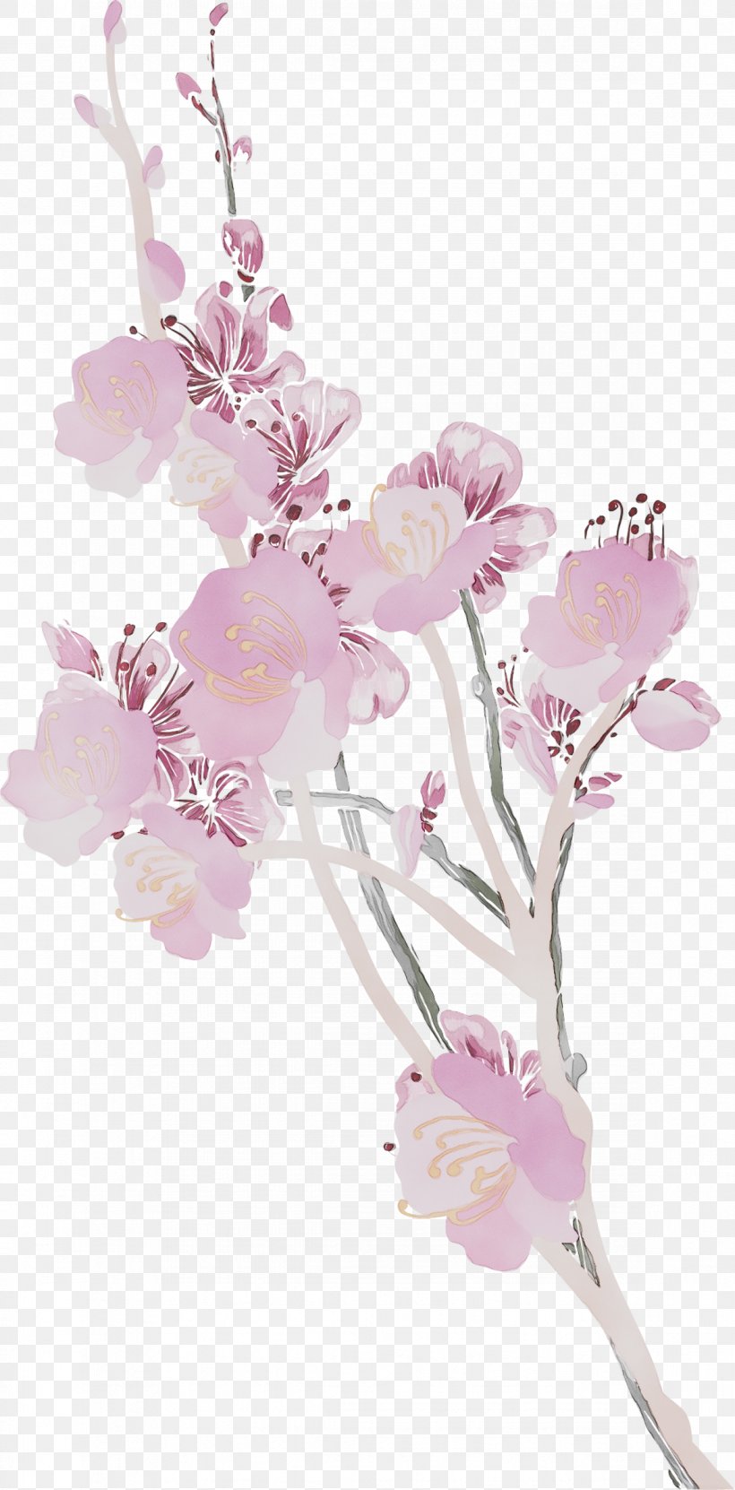 Floral Design Cut Flowers ST.AU.150 MIN.V.UNC.NR AD Blossom, PNG, 1173x2378px, Floral Design, Artificial Flower, Blossom, Branch, Cherries Download Free