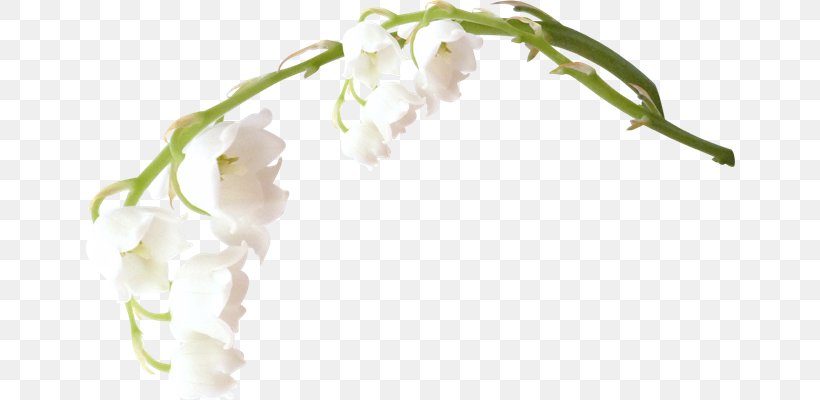 Flower Clip Art, PNG, 650x400px, Flower, Branch, Lily Of The Valley, Petal, Photography Download Free