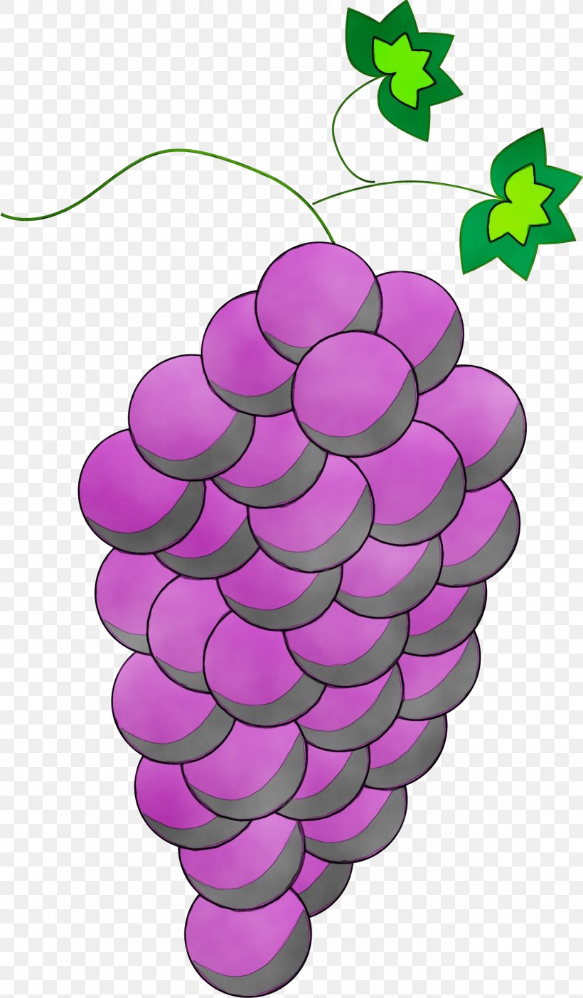 Grape Purple, PNG, 1378x2362px, Watercolor, Fruit, Grape, Grapevine Family, Paint Download Free