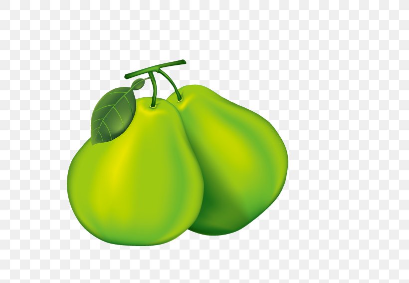 Pear Pomelo Cartoon, PNG, 567x567px, Pear, Apple, Auglis, Cartoon, Cucurbita Download Free