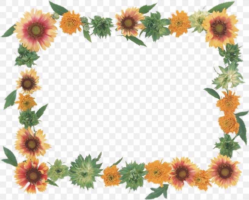 Picture Frames Flower Paper Photography Floral Design, PNG, 2491x2011px, Picture Frames, Chrysanths, Cut Flowers, Daisy Family, Drawing Download Free